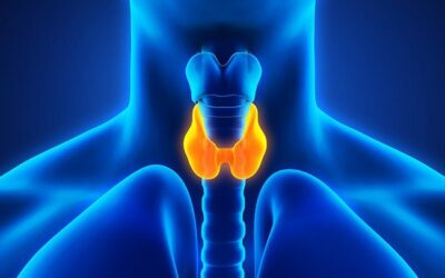 Are You Confused About Your Thyroid? How Functional Medicine Doctors can Help