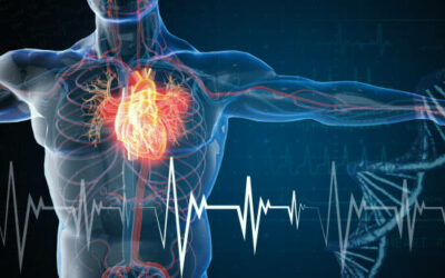 Understanding Metabolic Health: An introductory post explaining what metabolic health is, its importance, and how it’s assessed in primary care.