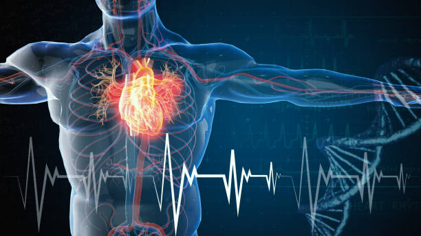 Understanding Metabolic Health: An introductory post explaining what metabolic health is, its importance, and how it’s assessed in primary care.